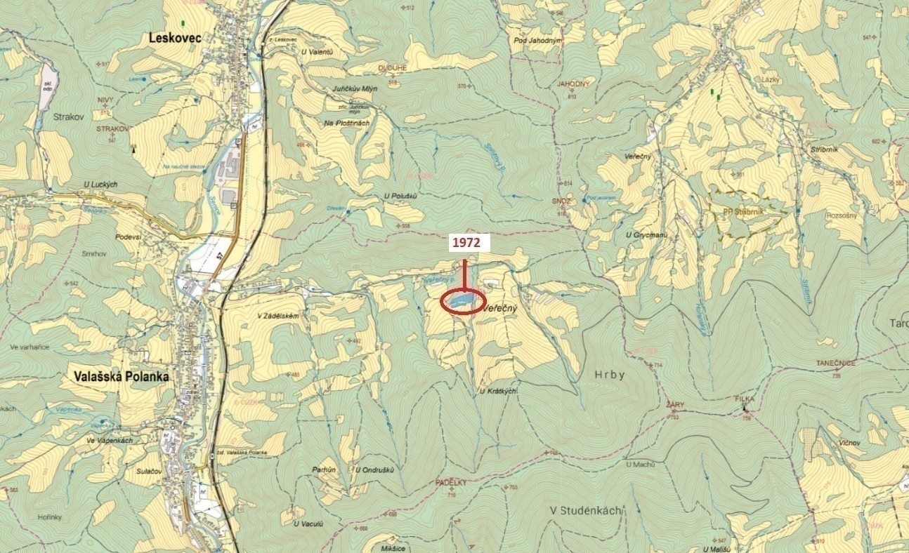 Lesní pozemek o výměře 10 038 m2, podíl 1/1, k.ú.
