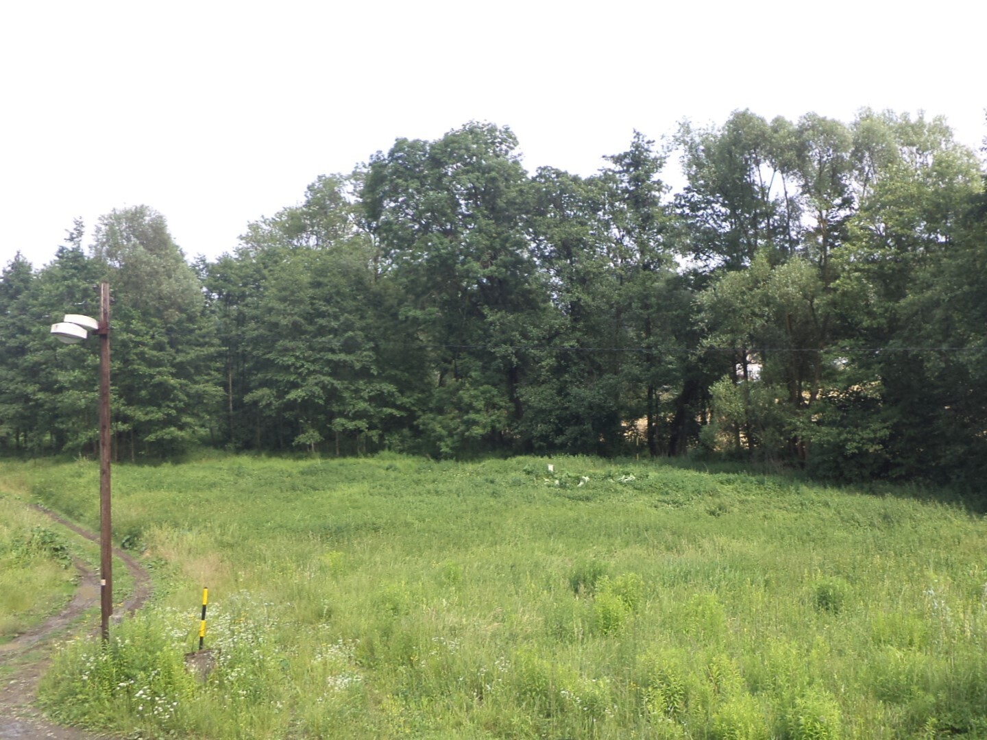 Pozemky o velikosti 5141m2, Šenov u Ostravy