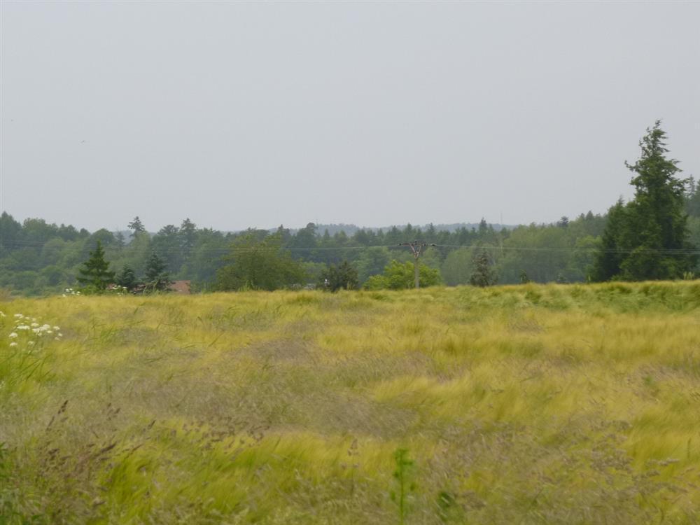 Dražba spoluvlastnického podílu ve výši 1/28 na