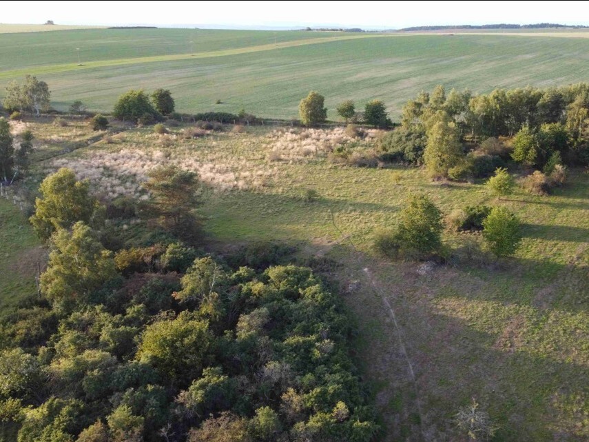 Pozemek o velikosti 7261m2, Otěvěky