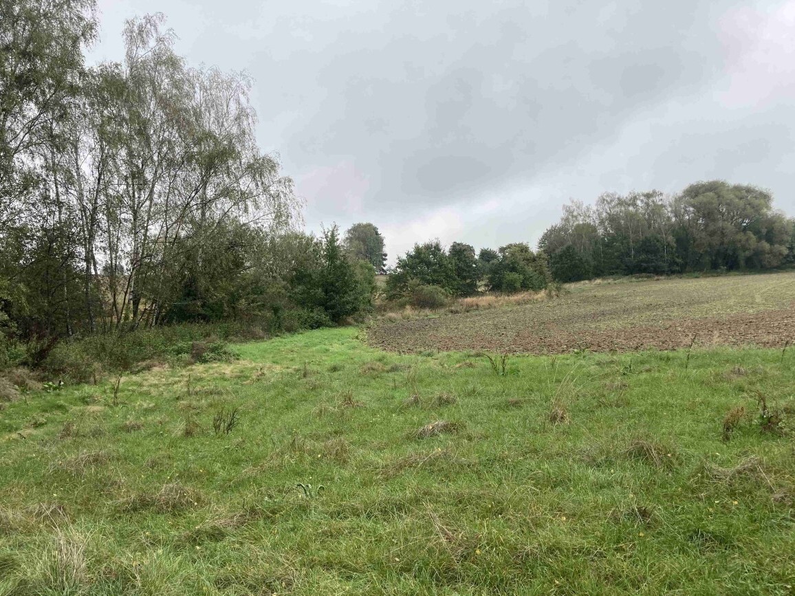 Pozemek o velikosti 15764m2, Kostelec nad Černými