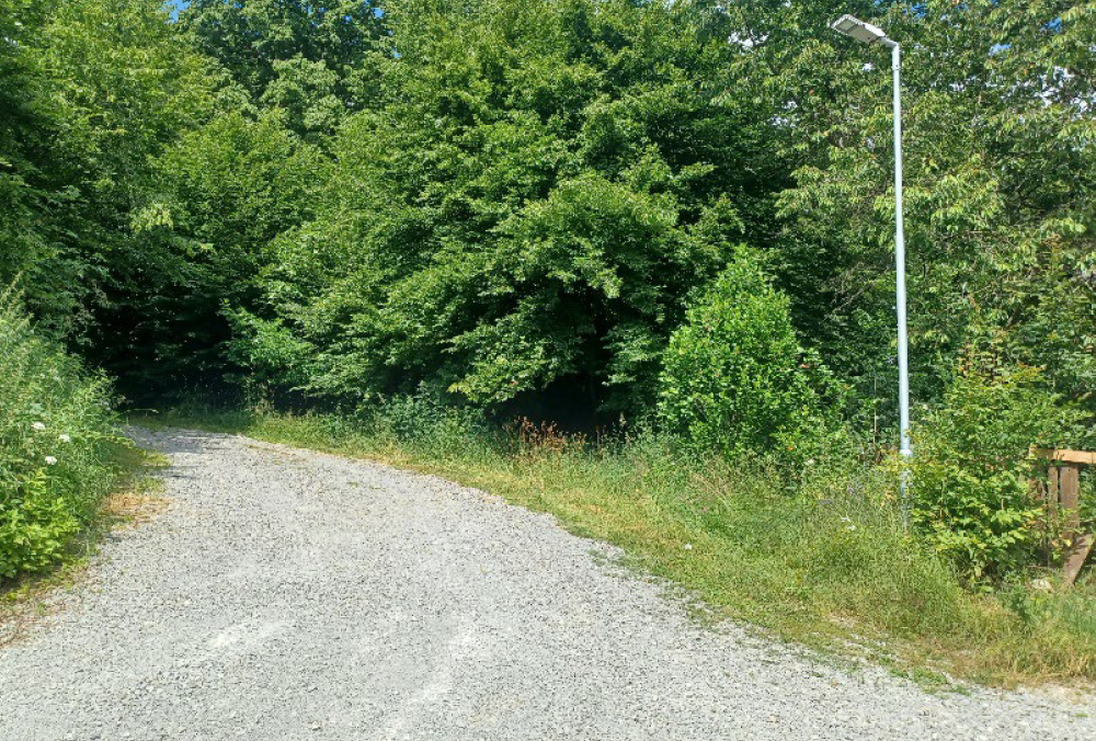 Pozemky o velikosti 12440m2, Česká Lípa,