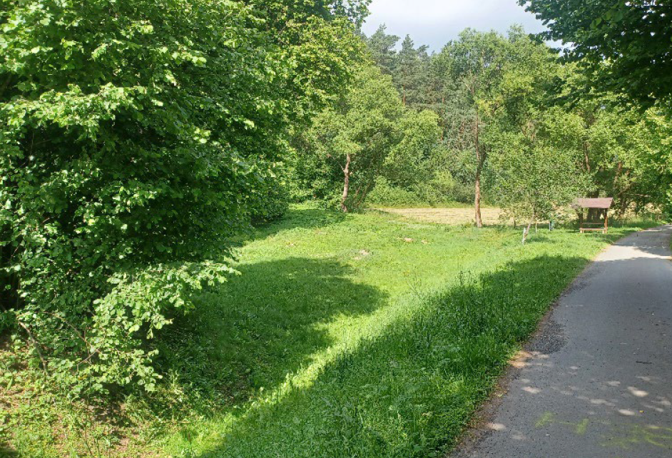 Pozemky o velikosti 11174m2, Tuhaň, opakovaná