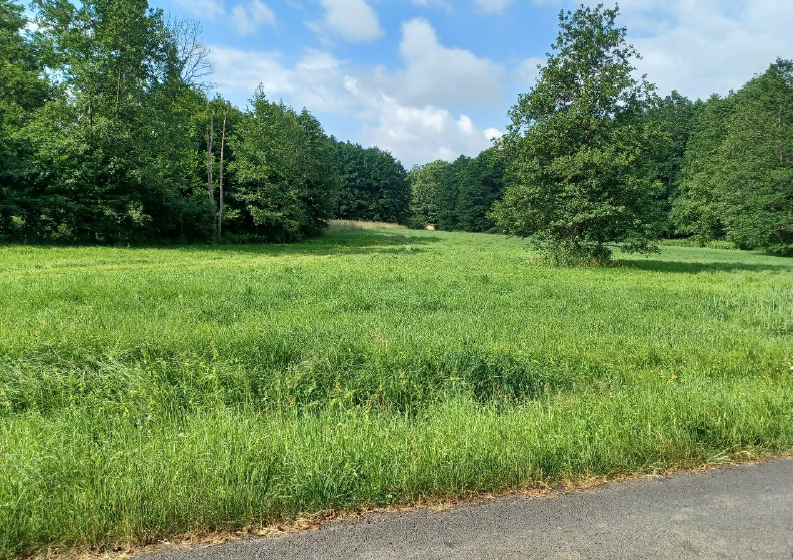 Pozemek o velikosti 14221m2, Česká Kamenice