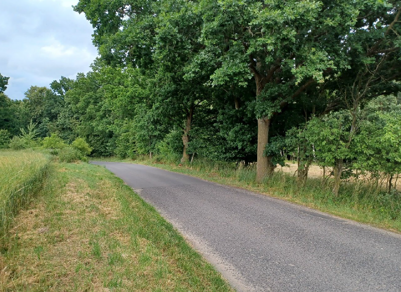 Pozemky o velikosti 1493m2, Ždírec, opakovaná