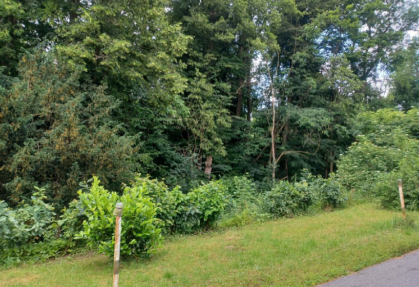 Pozemky o velikosti 2255m2, Děčín, opakovaná