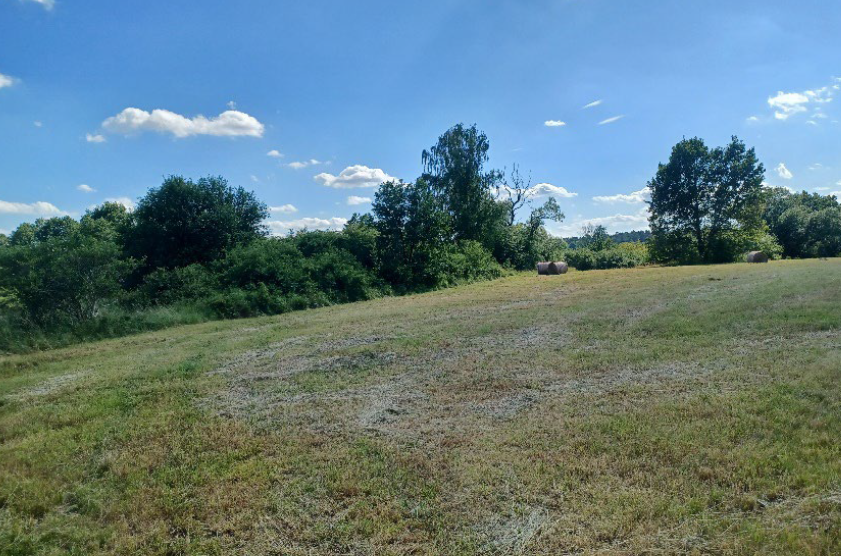 Pozemky o velikosti 10090m2, Česká Lípa,