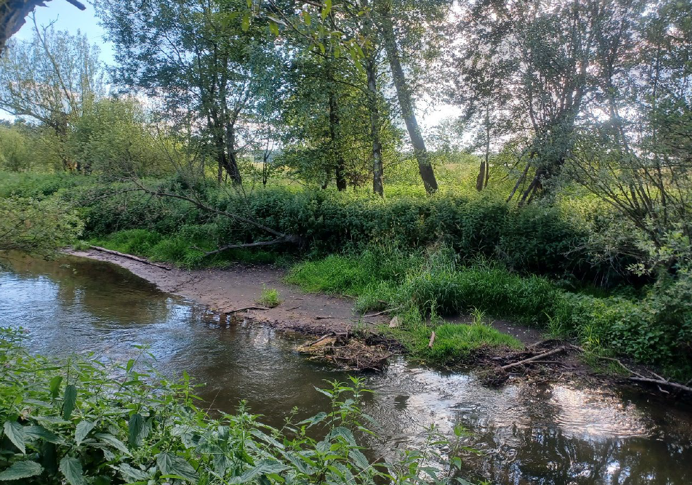 Pozemky o velikosti 11189m2, Mimoň + Vranov pod