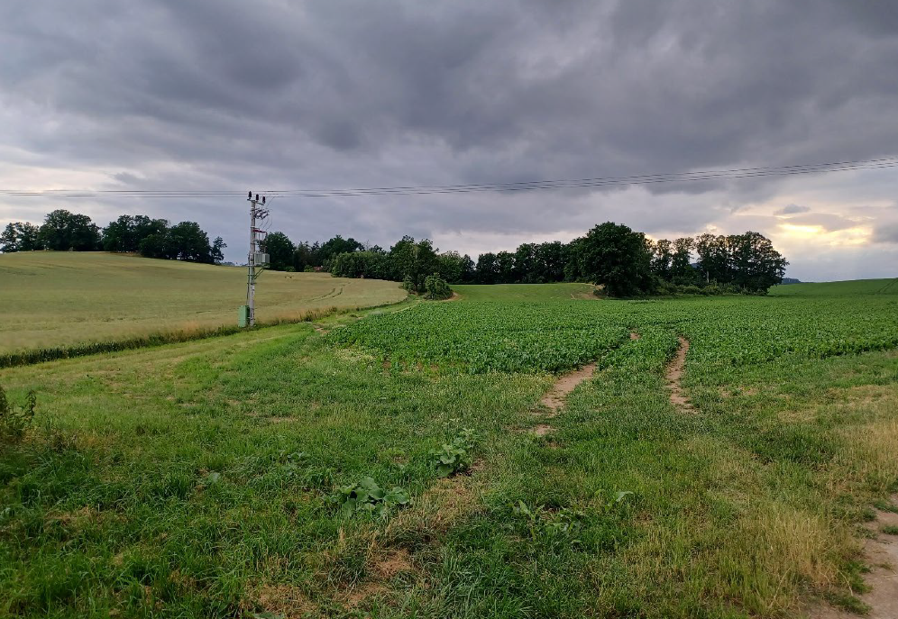 Pozemky o velikosti 6791m2, Česká Lípa
