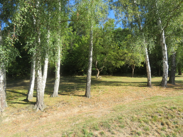 1/12 pozemků v obci Vrbatův Kostelec, k.ú. Louka