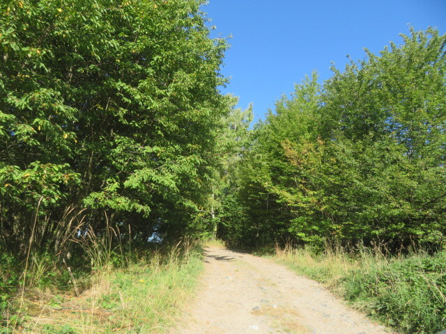 1/12 pozemků v obci Vrbatův Kostelec, k.ú. Louka