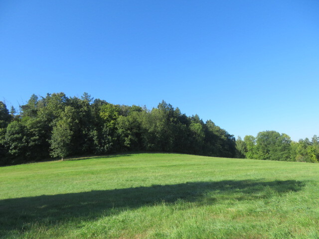 1/12 pozemků v obci Miřetice, k.ú. Havlovice u