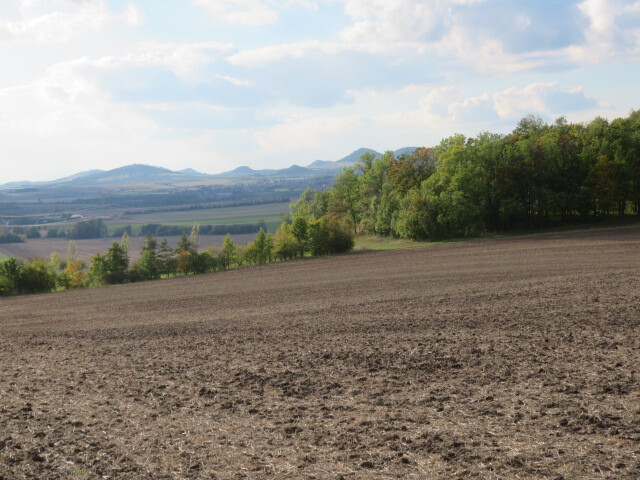 1/2 pozemku (orná půda) v obci Sedlec, okr.