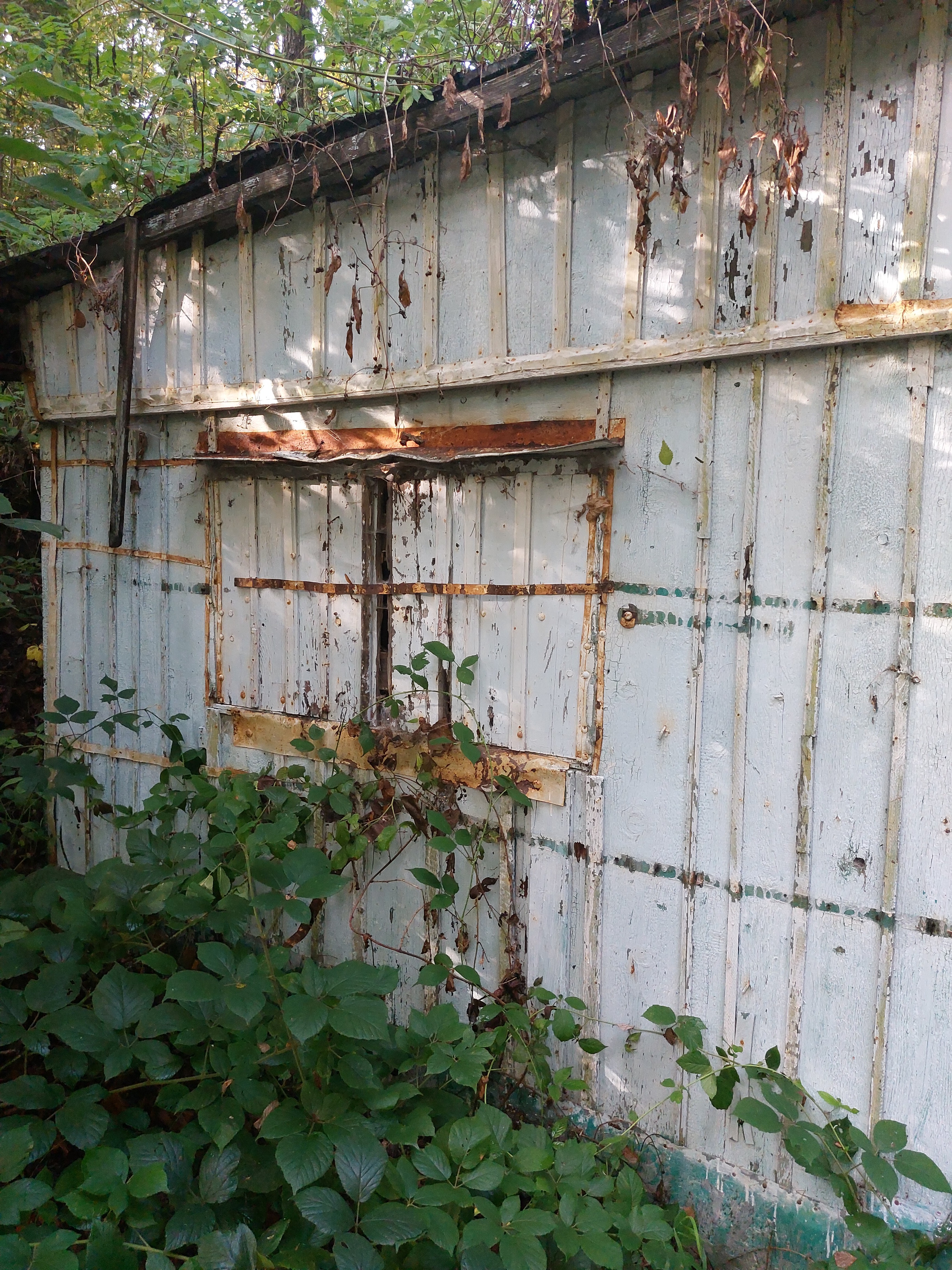 ideální podíl 2/3 stavby v k.ú. Jivno, okres