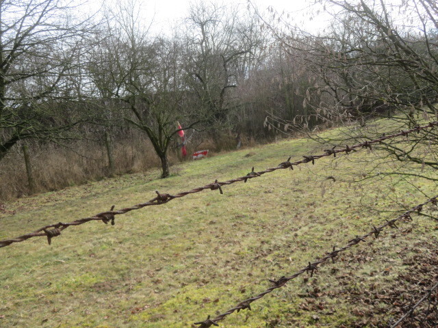 Pozemek o velikosti 1943m2, Měrovice nad Hanou,