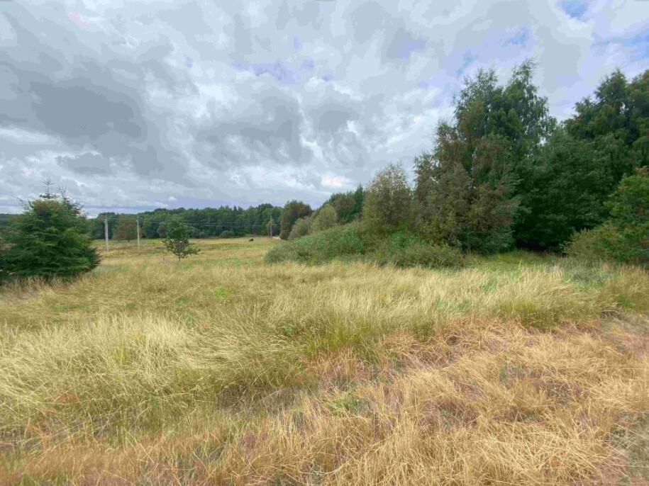 Pozemek o velikosti 2675m2, Aš